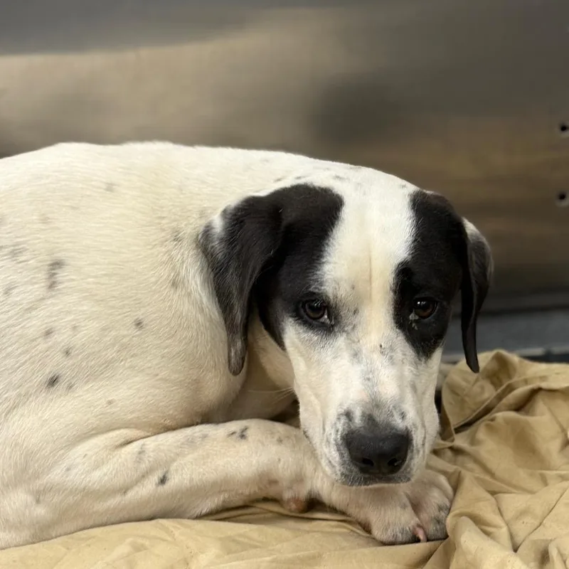 Jeremine thumbnail 2