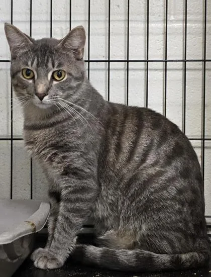 Billie James thumbnail 2