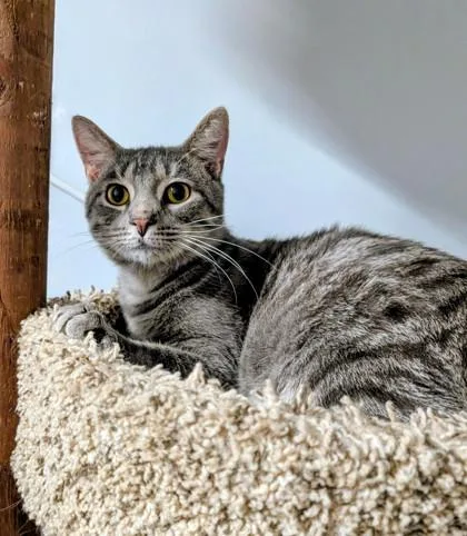 Billie James thumbnail 3