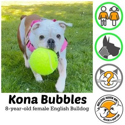 Kona Bubbles thumbnail 2