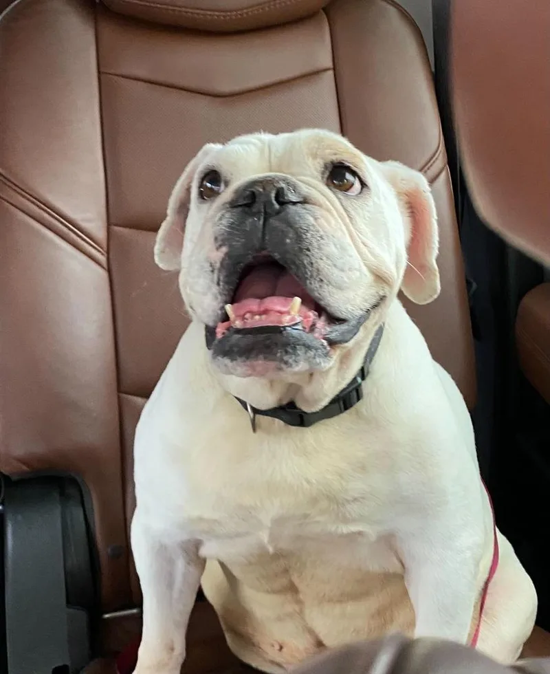 Victoria thumbnail 3