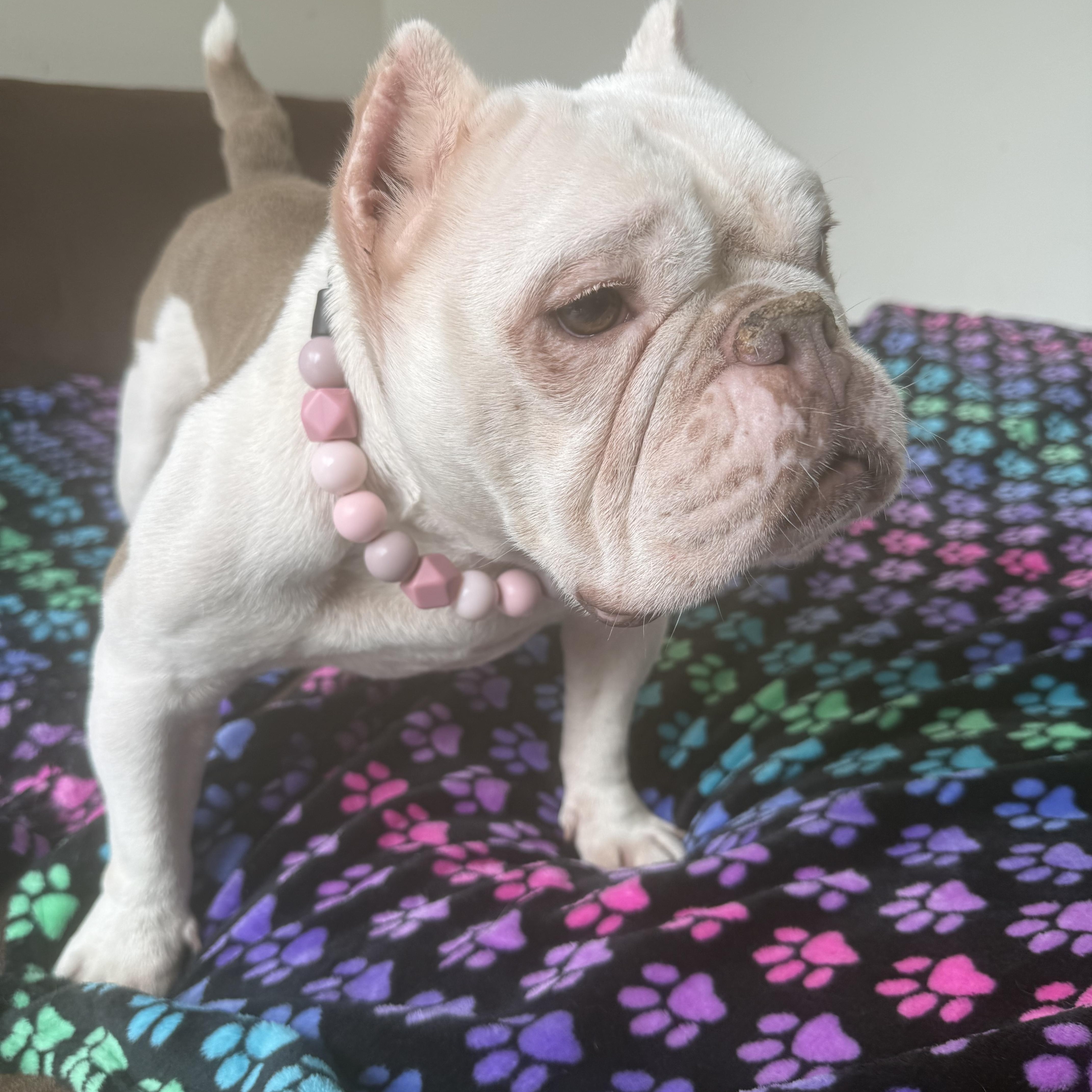 Lady Eloise thumbnail 4