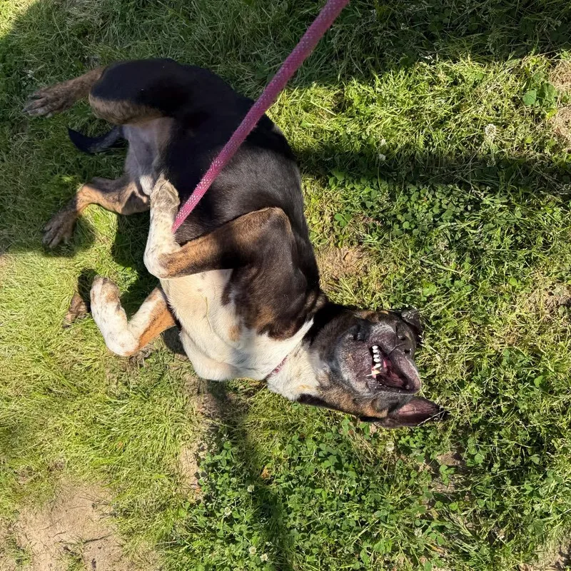 Straythavenue"frederick " thumbnail 5