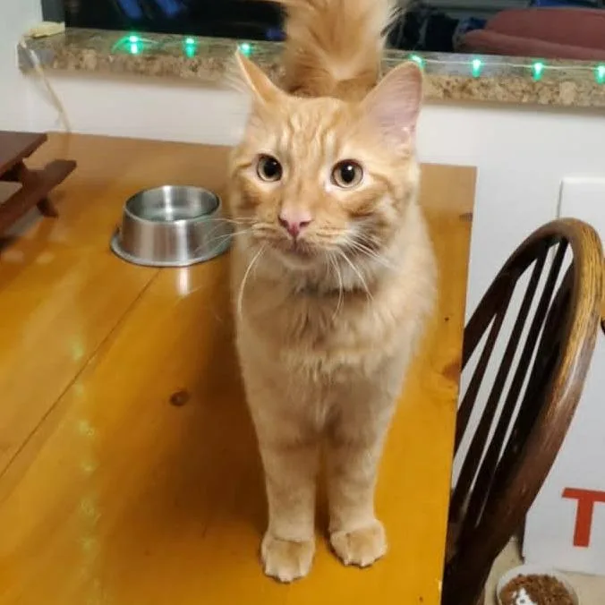Murphy