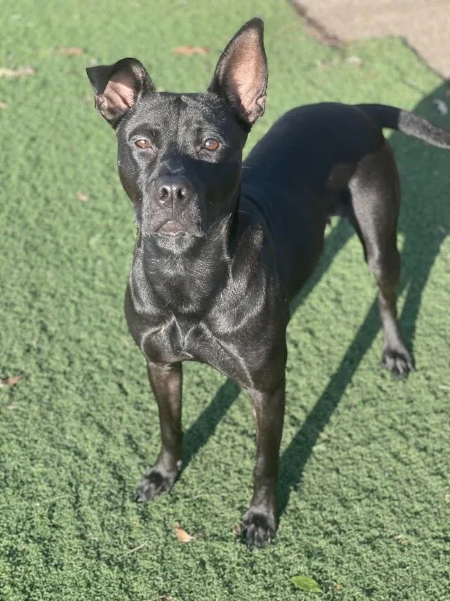 Snow White thumbnail 5