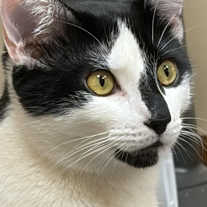 Murphy thumbnail 3