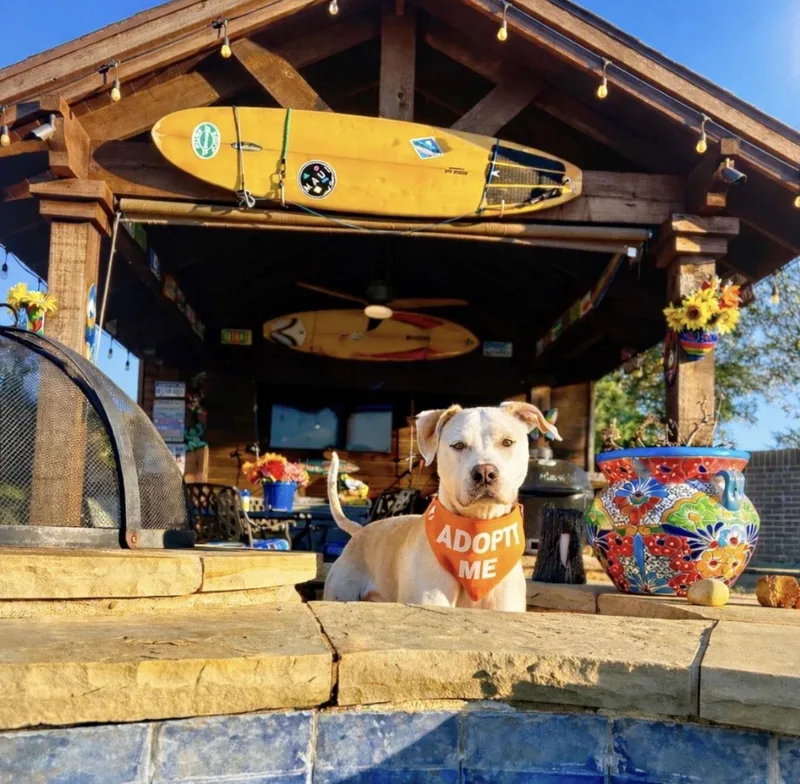 Mcfuffin thumbnail 2