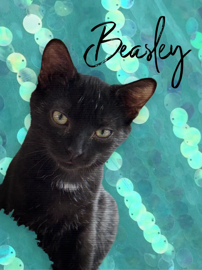 Beasley