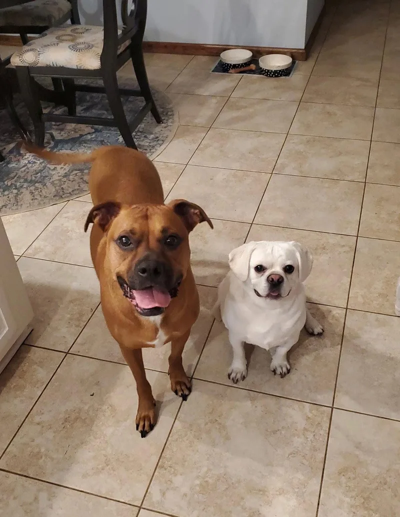 Chase Bonded to