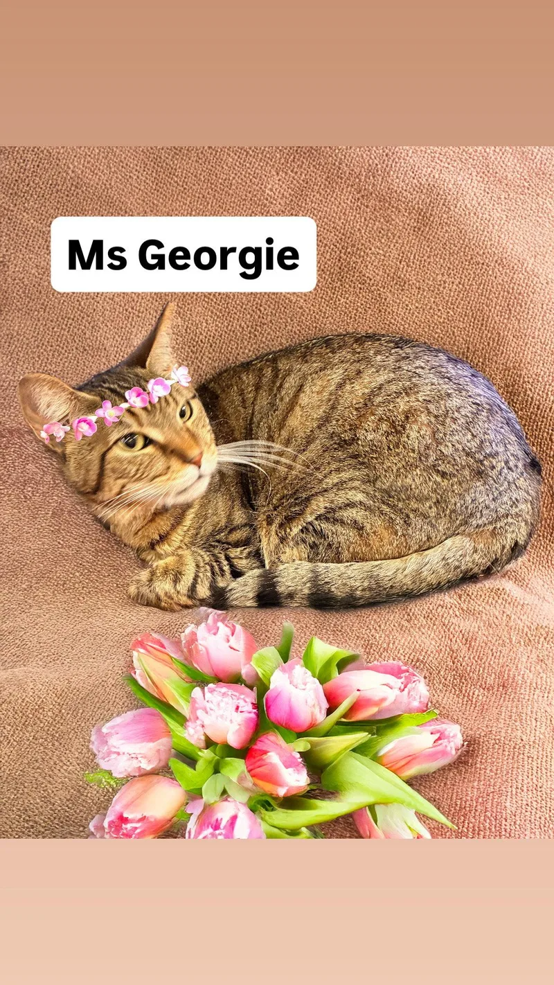 Ms Georgie At Martinez