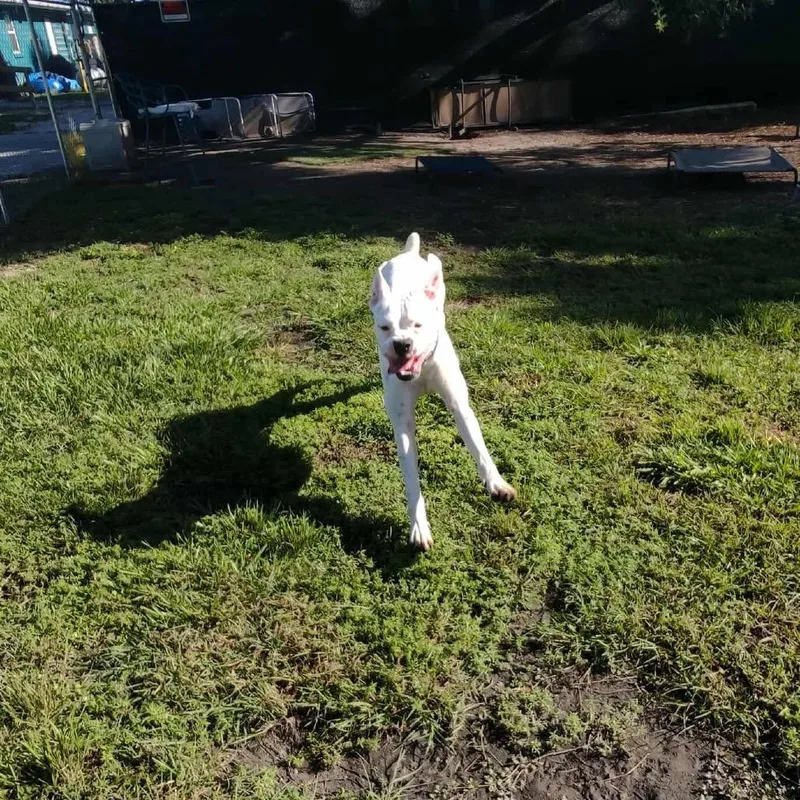 Hercules The Rd thumbnail 6