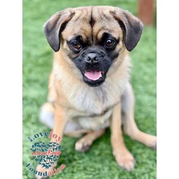 Nina Sky thumbnail 2