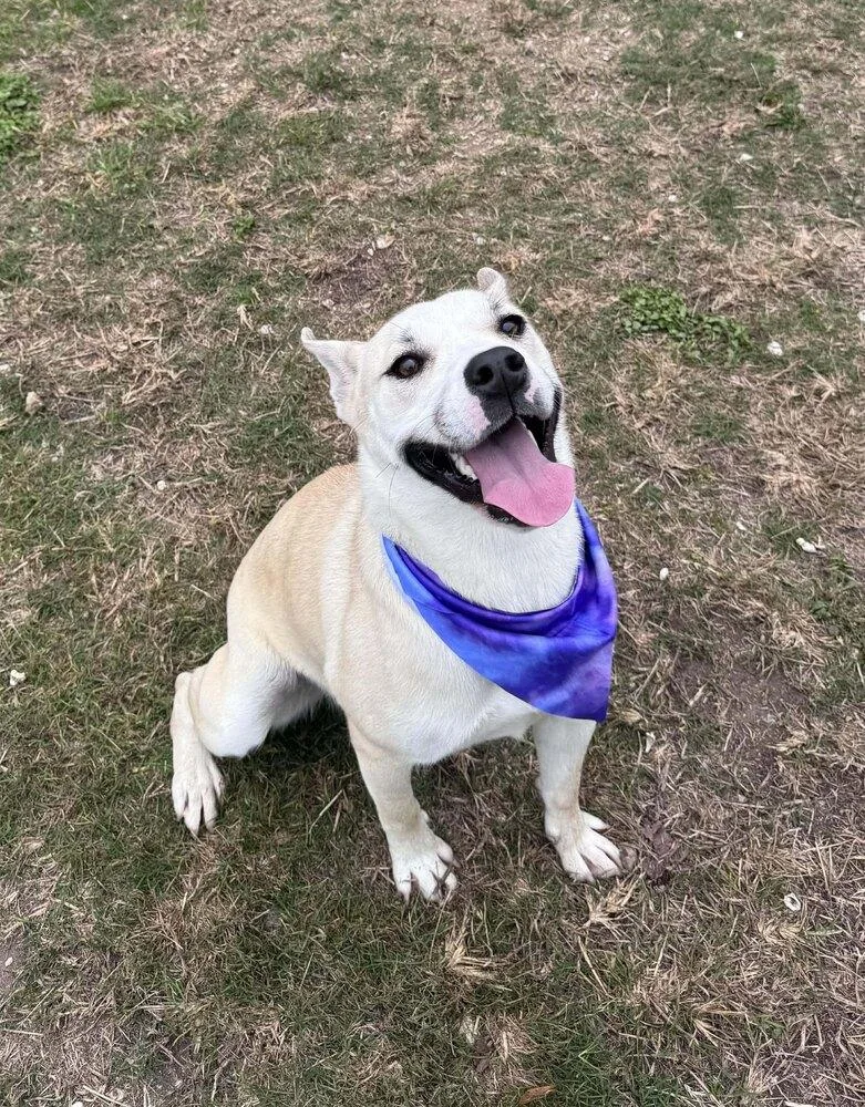 Winter A 💜 🇨🇦