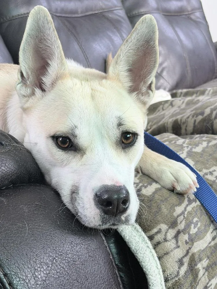 Winter A 💜 🇨🇦 thumbnail 2