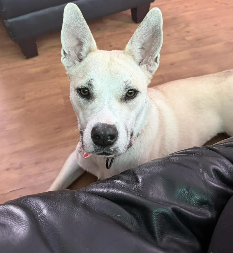 Winter A 💜 🇨🇦 thumbnail 4