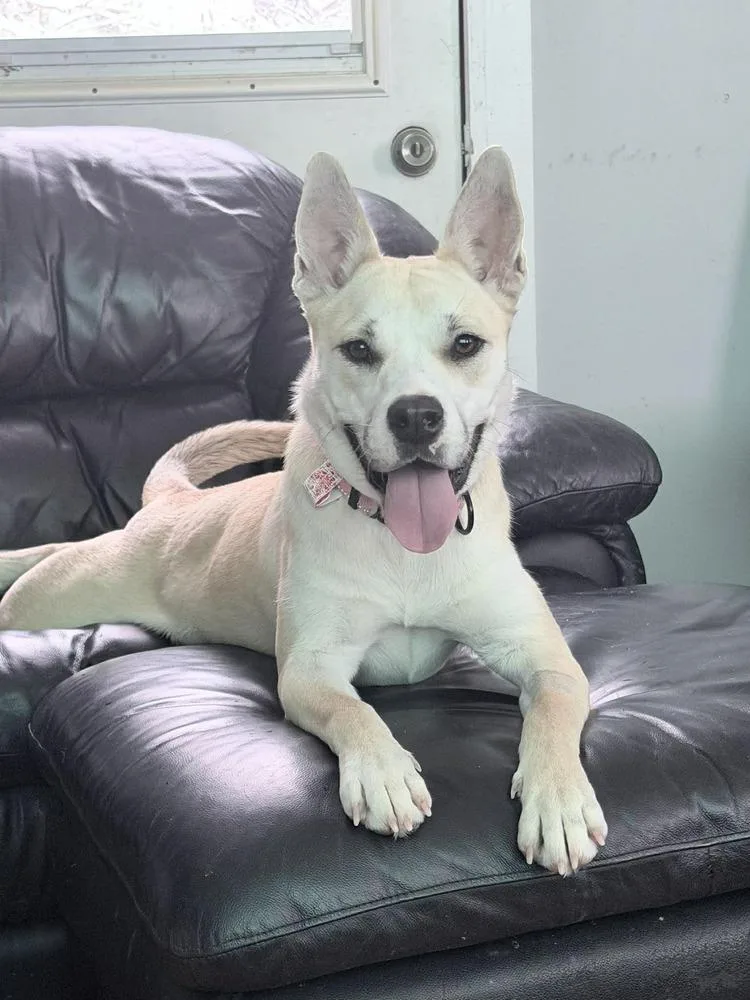 Winter A 💜 🇨🇦 thumbnail 5