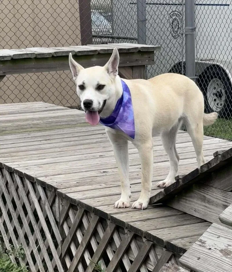 Winter A 💜 🇨🇦 thumbnail 6