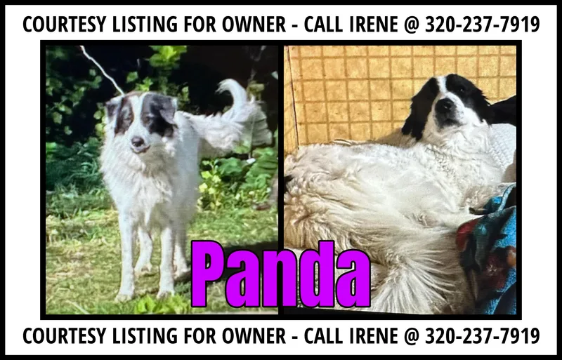 Panda Courtesy Listing