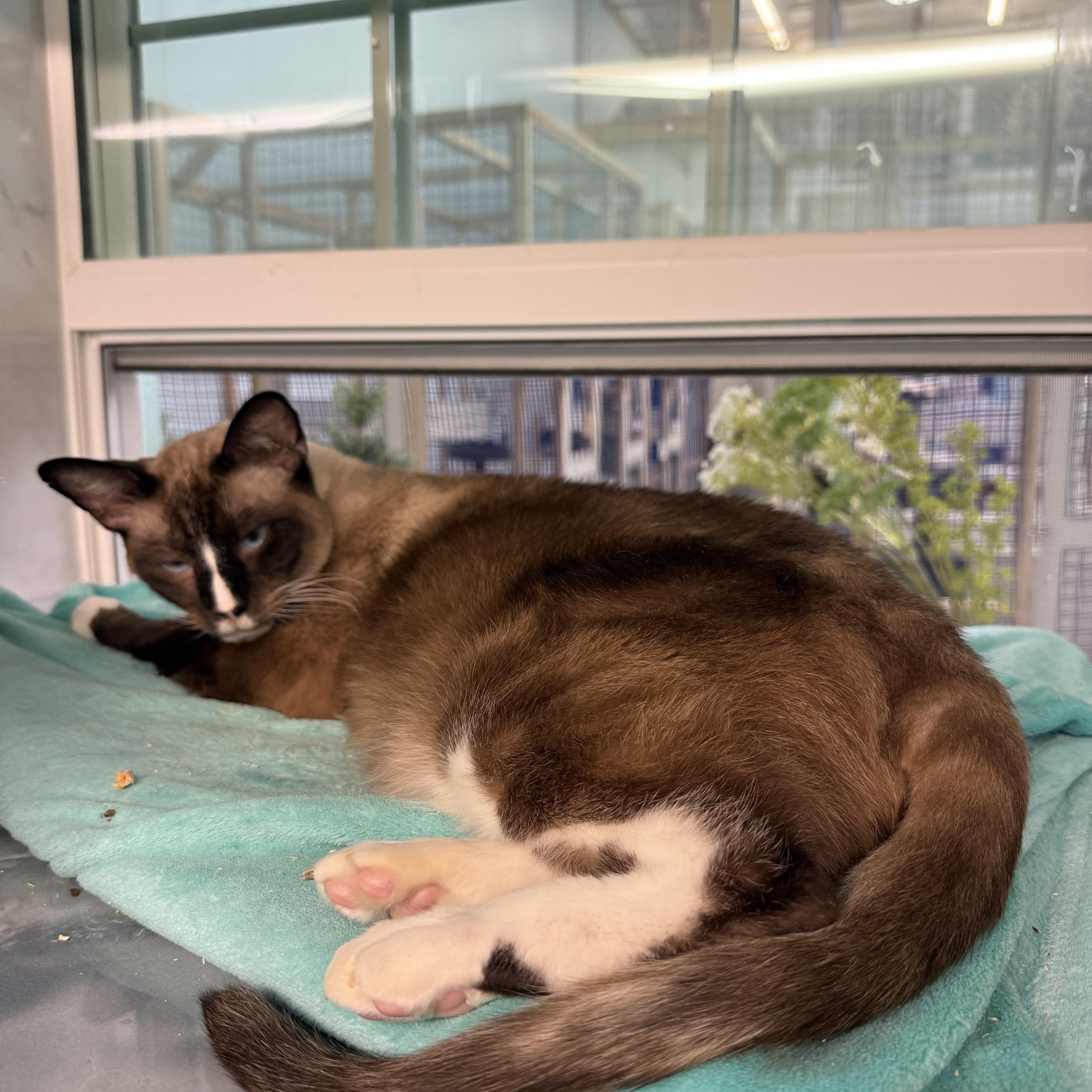 King Arthur thumbnail 2