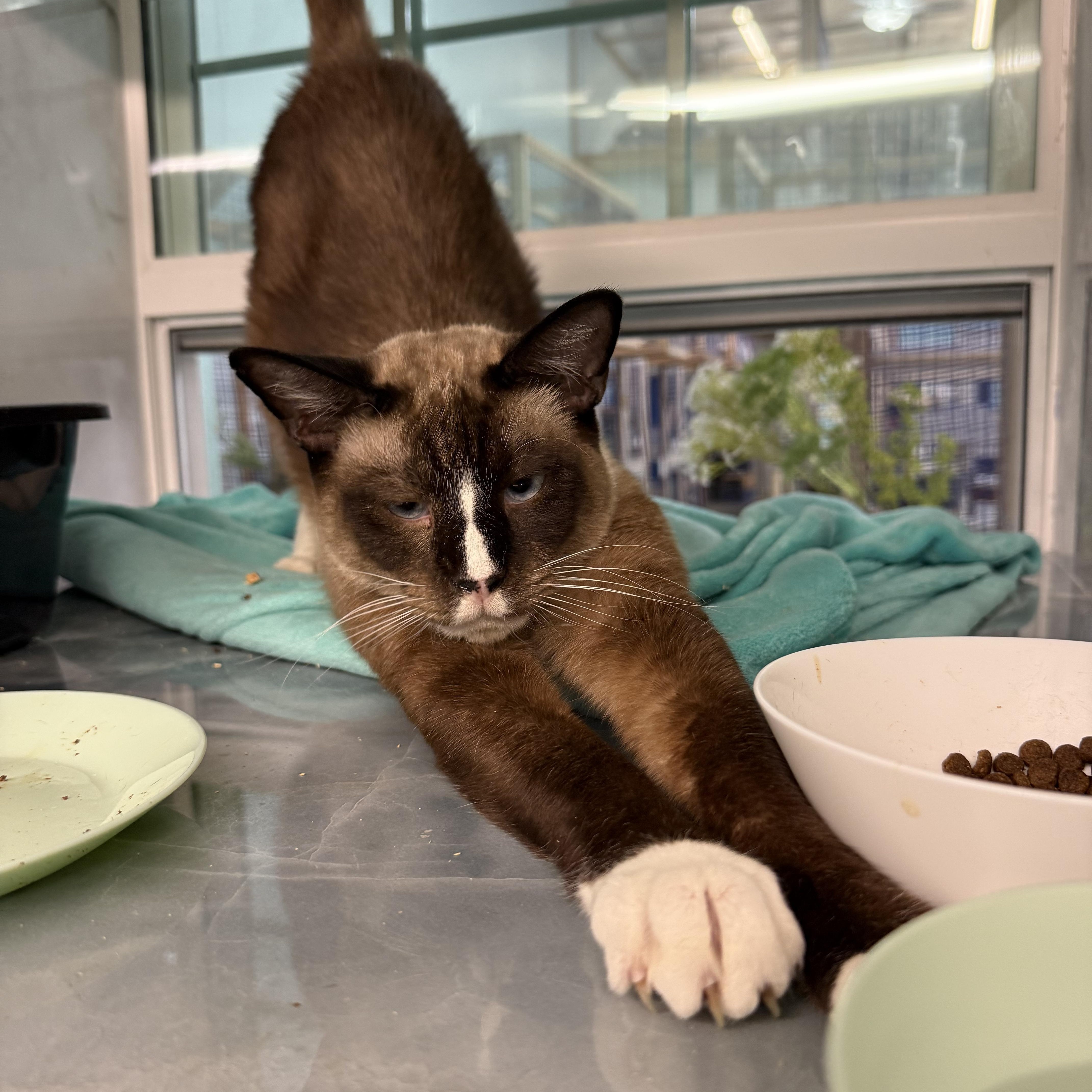 King Arthur thumbnail 5