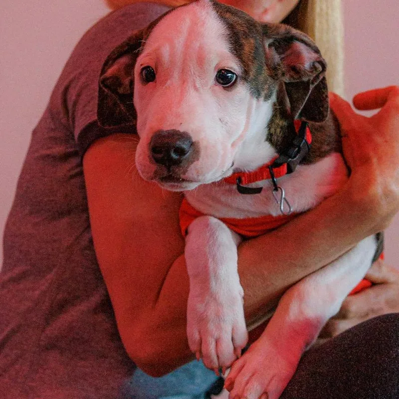 Buster thumbnail 2
