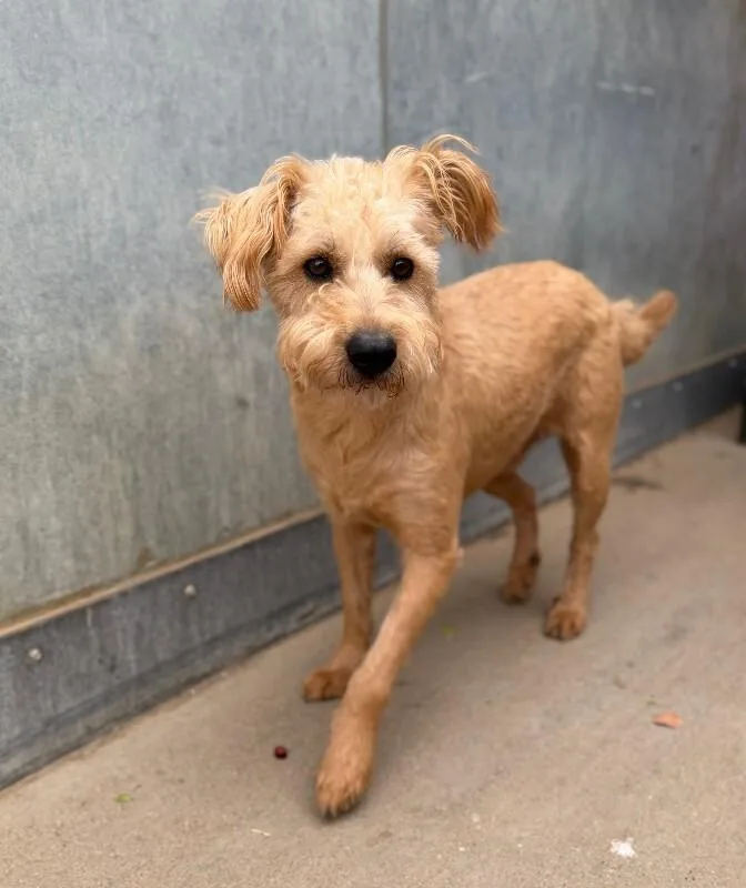 Patricio thumbnail 2