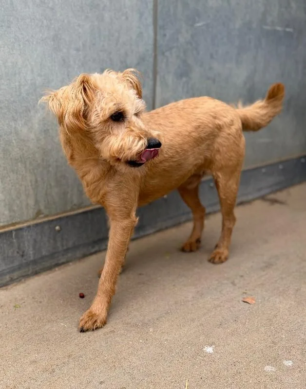 Patricio thumbnail 3