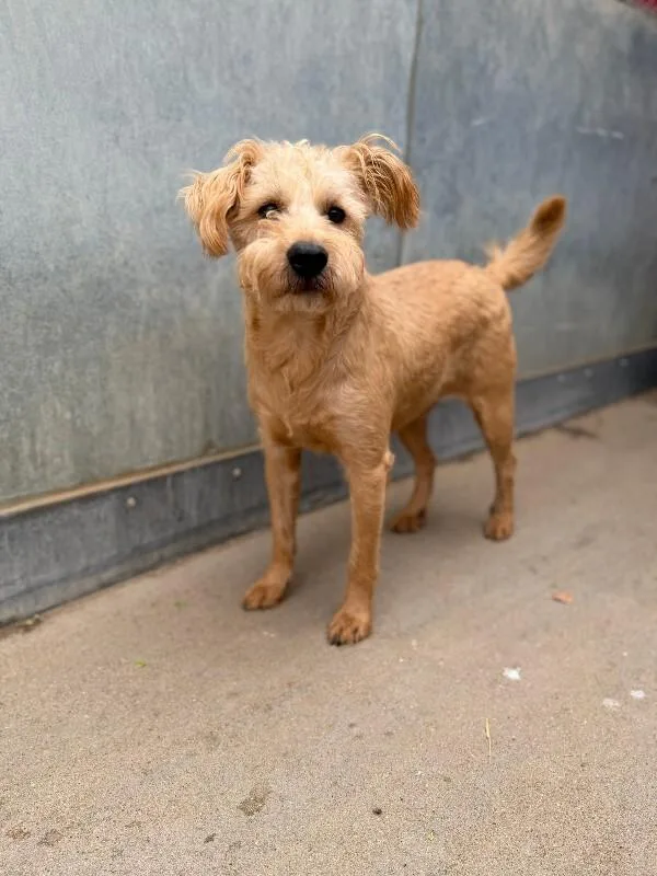 Patricio thumbnail 4