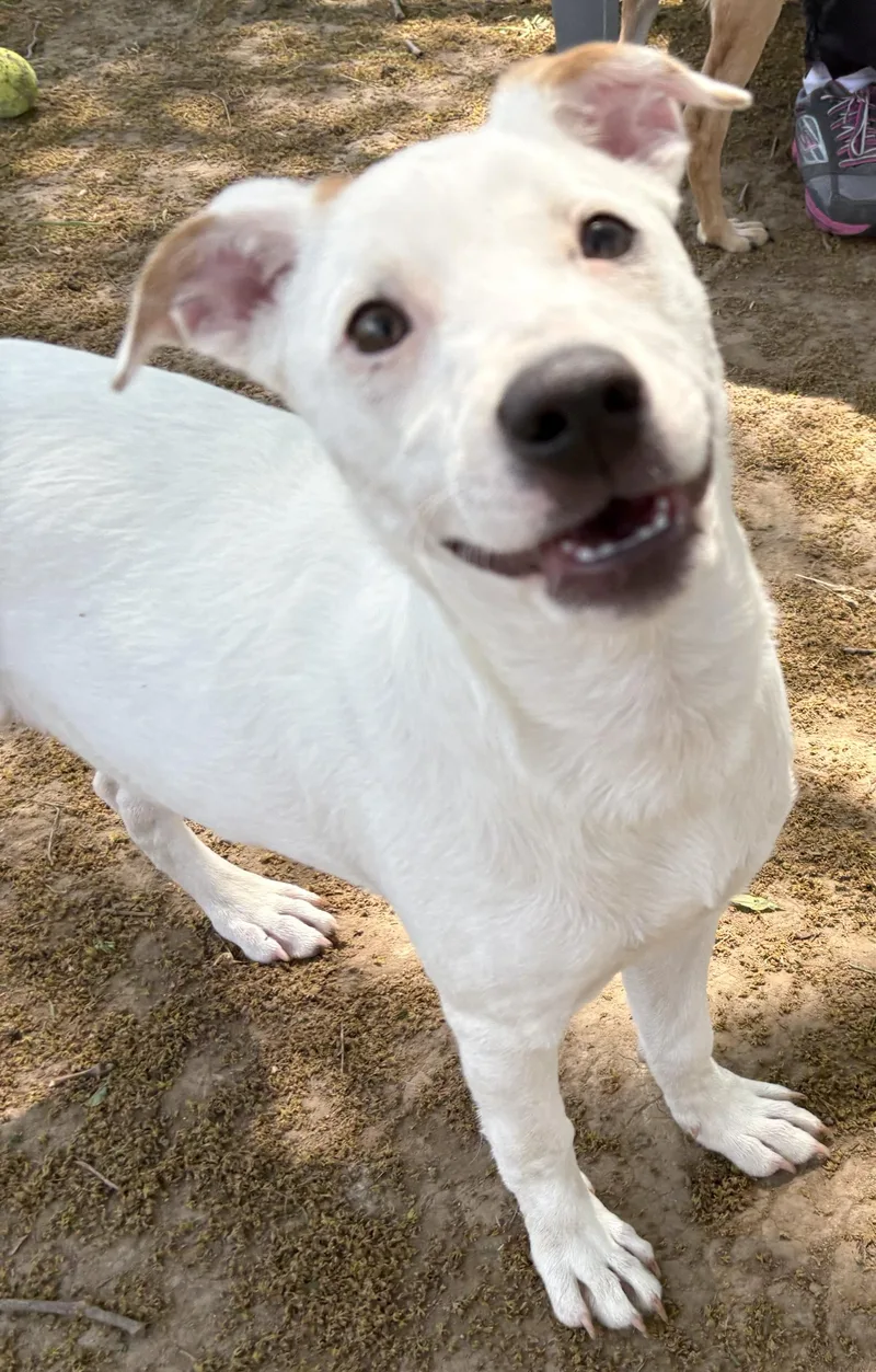 Betty thumbnail 3