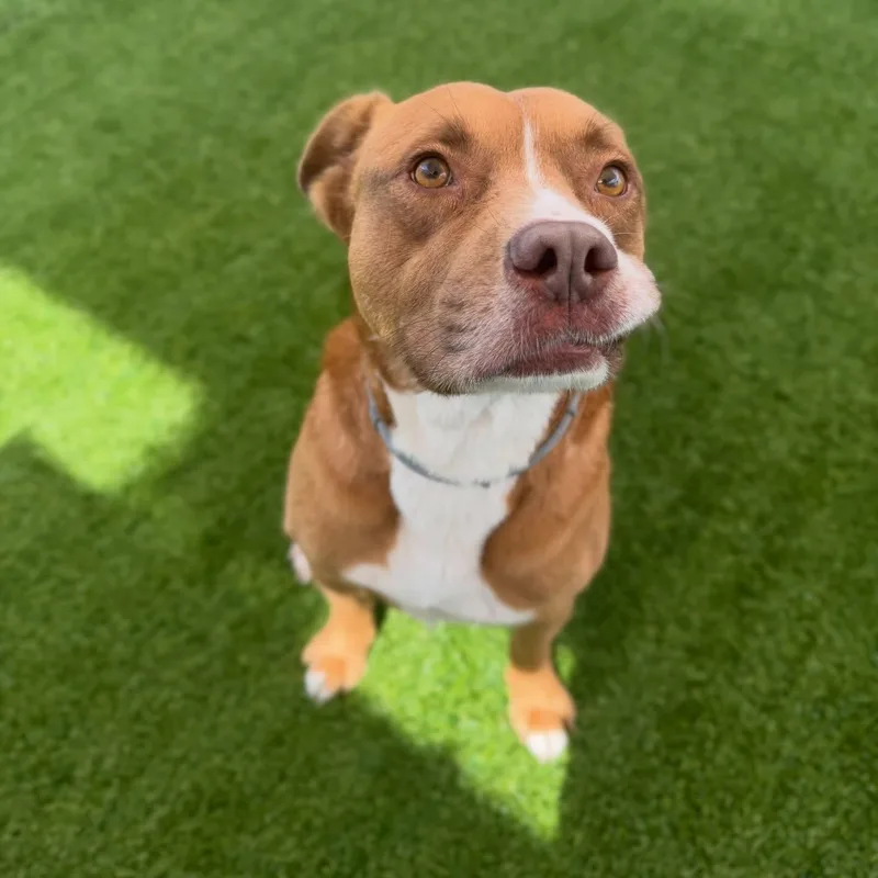 Lawrence thumbnail 2