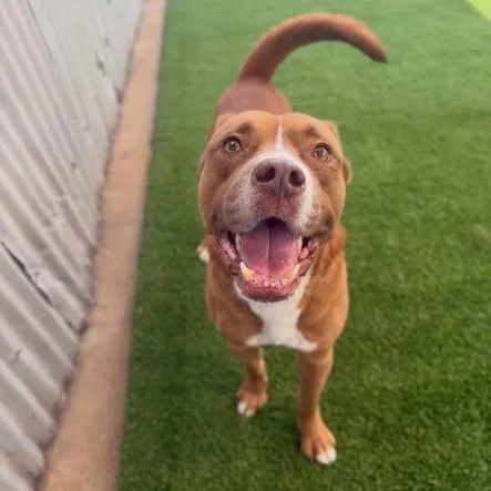 Lawrence thumbnail 4