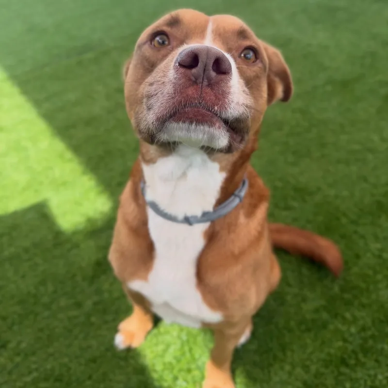 Lawrence thumbnail 5