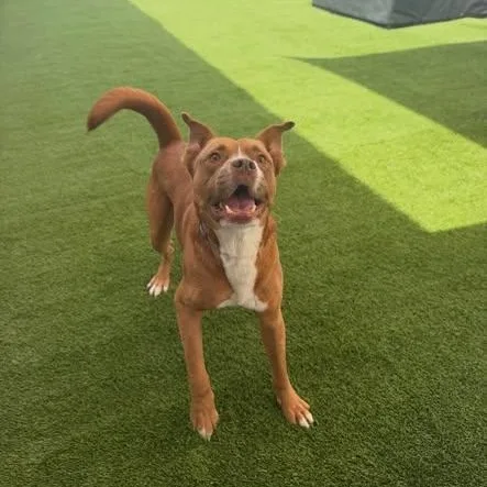 Lawrence thumbnail 6