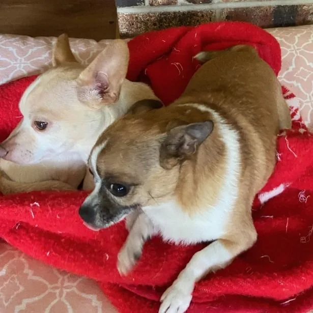 Billie Jean thumbnail 2