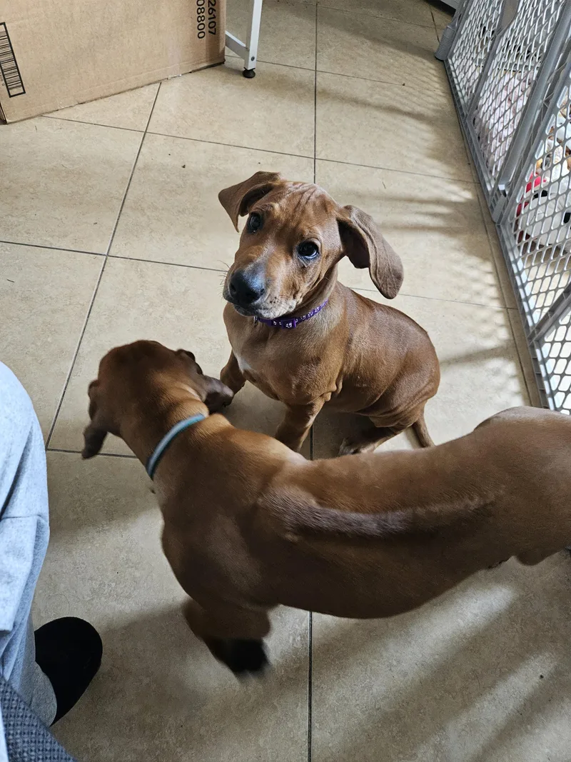 Ginny and Georgia thumbnail 2