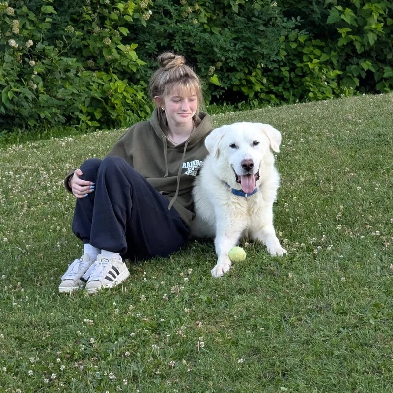 An adult large-sized male White / Cream Mixed Breed dog named Creed for adoption in Tomah, WI