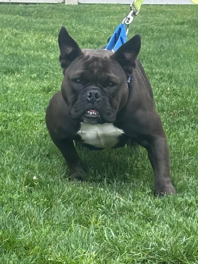 Tillie
