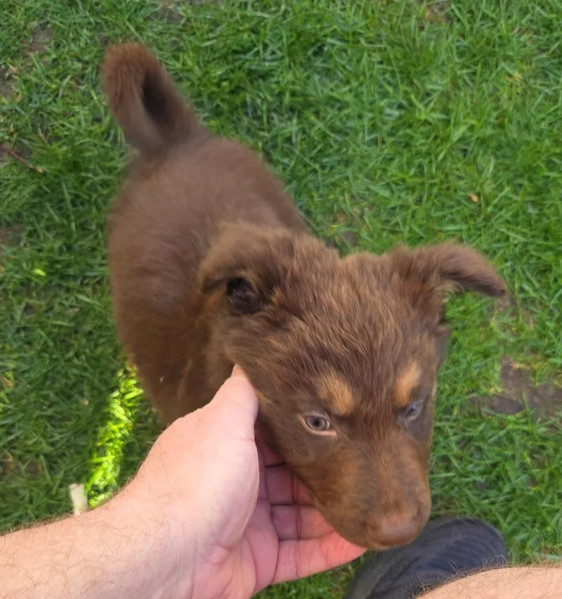 Ernie