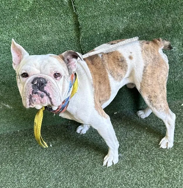 Monroe
