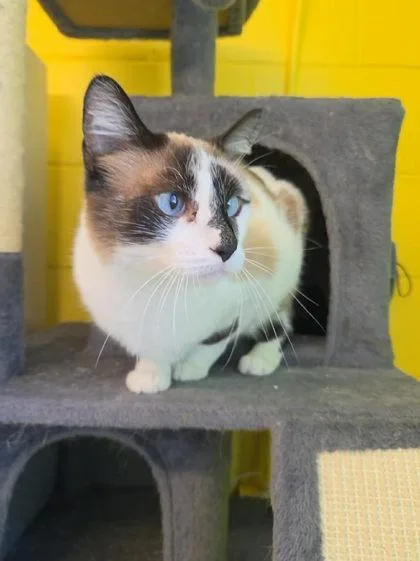 Missy Mae thumbnail 2