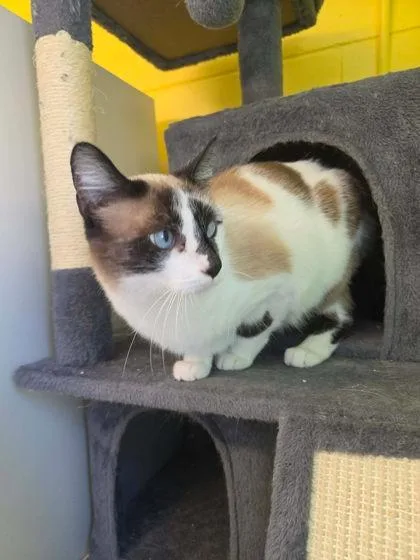 Missy Mae thumbnail 3