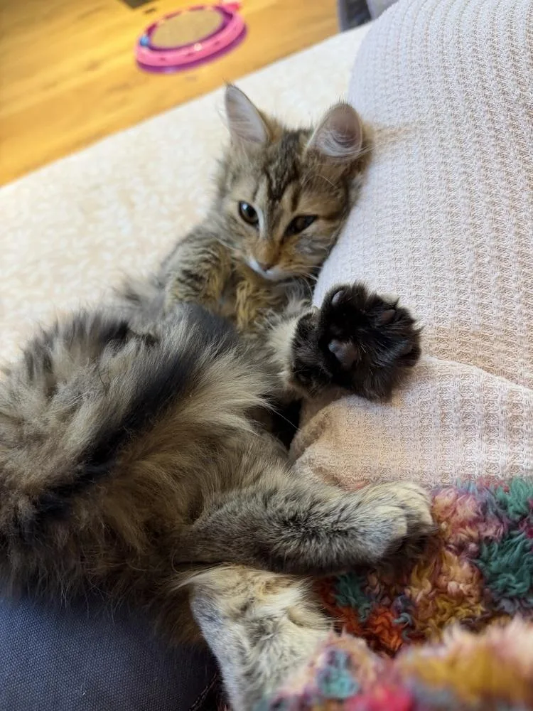 Schitt's Creek:  Moira thumbnail 3