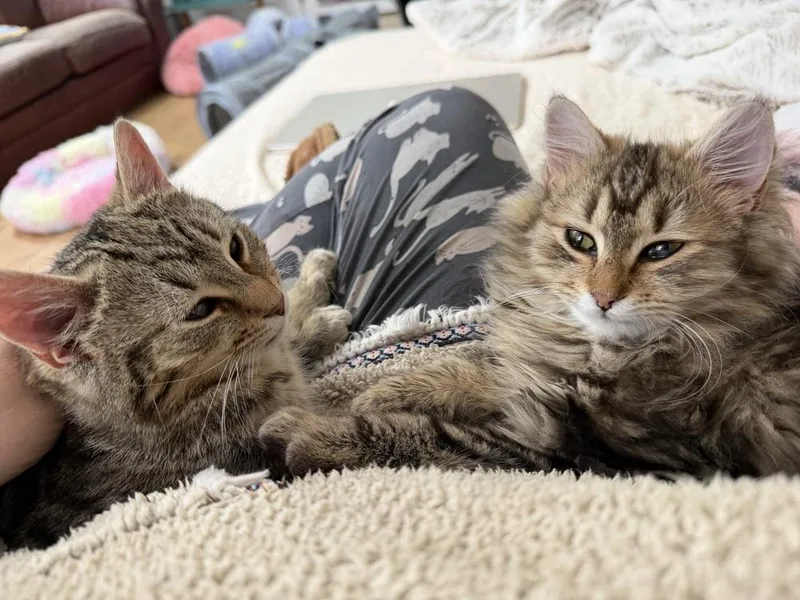 Schitt's Creek:  Moira thumbnail 4