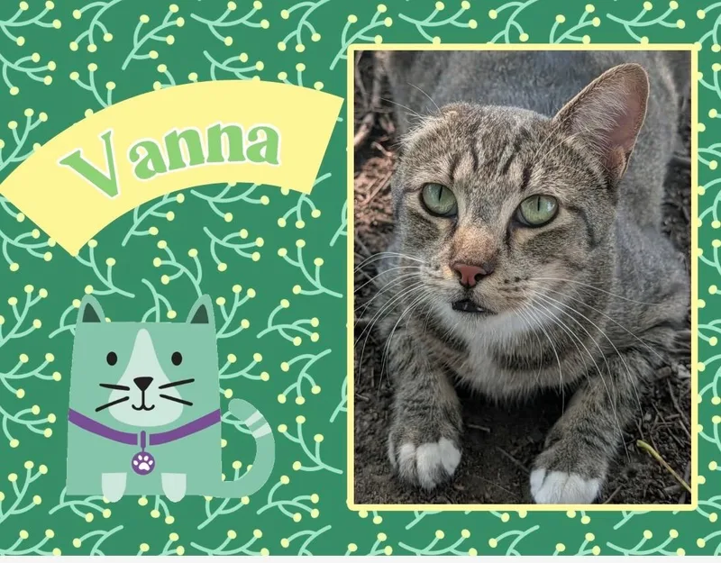 Vanna