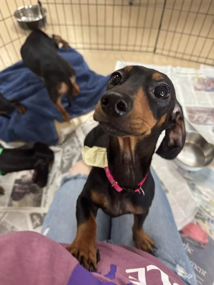 Kate Sharma thumbnail 2