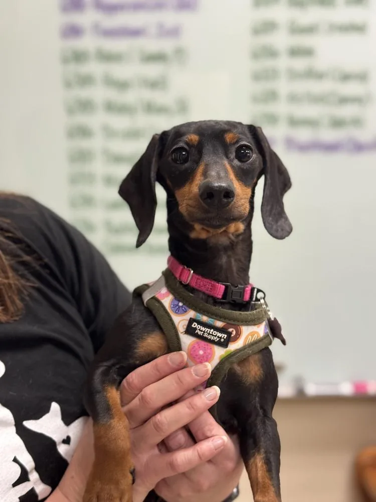 Kate Sharma thumbnail 5