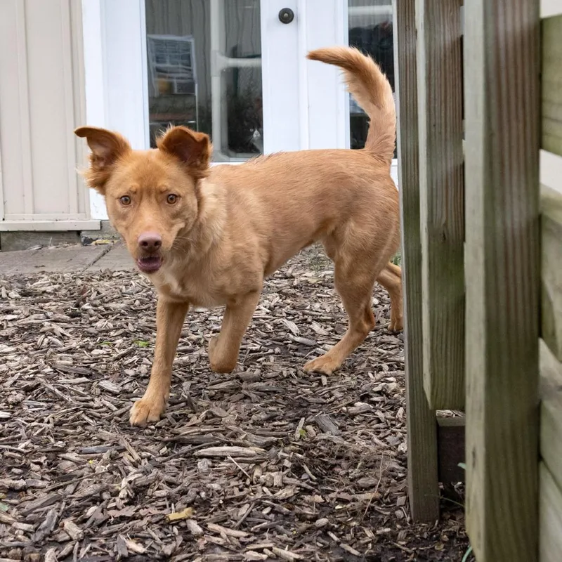 Francine thumbnail 2