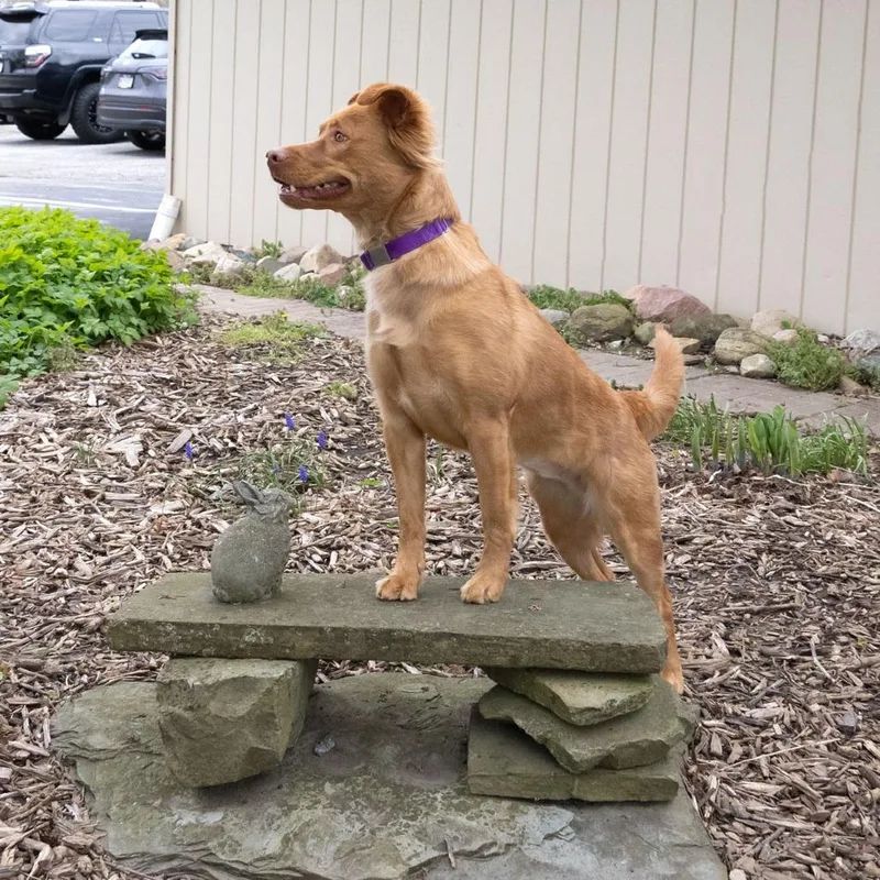 Francine thumbnail 3