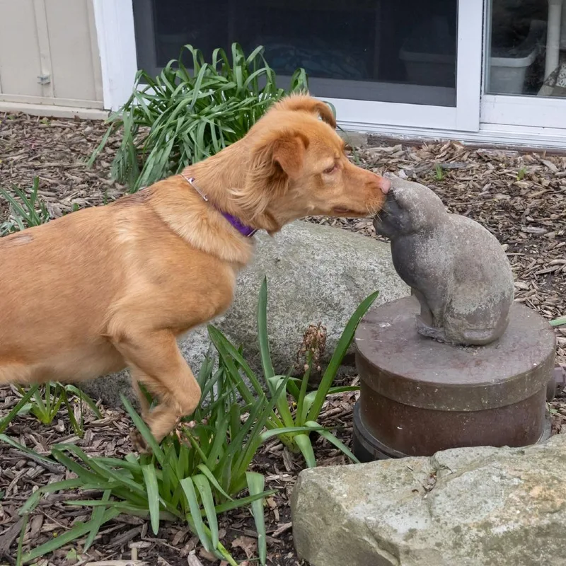 Francine thumbnail 4