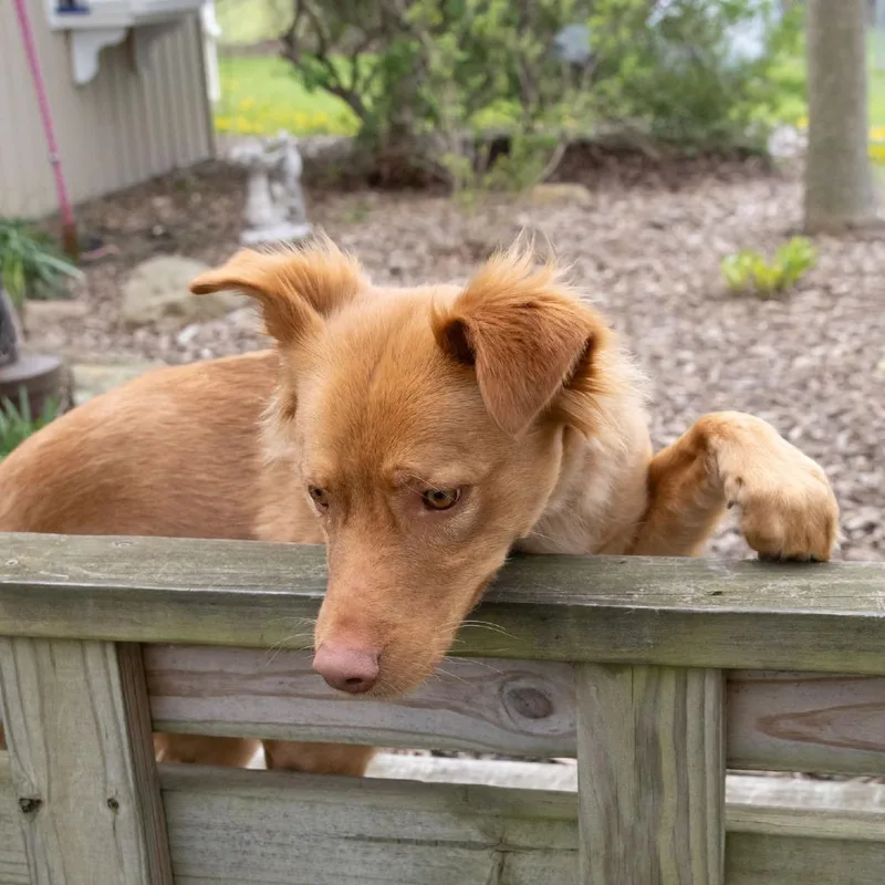 Francine thumbnail 5